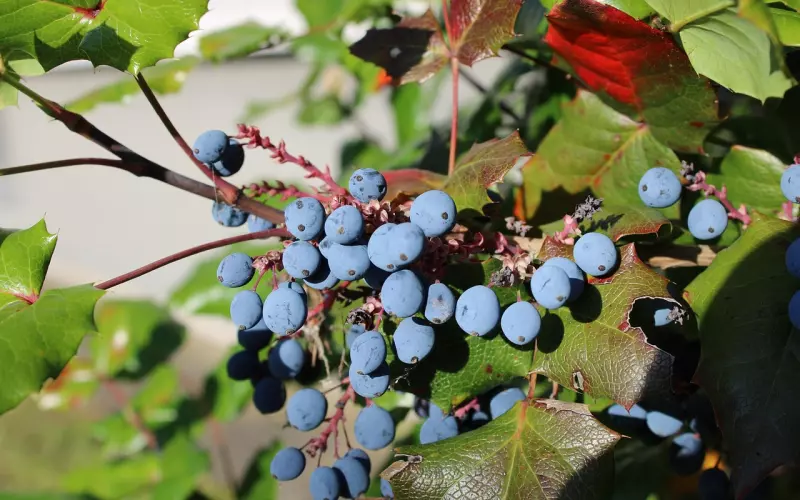 挽回前男友的十大禁忌