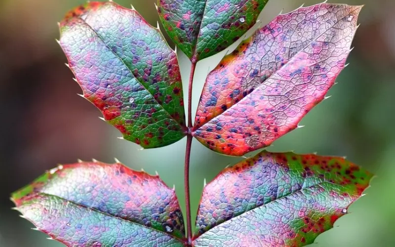 挽回前男友的十大禁忌