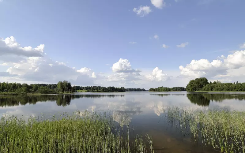 十年后，最便宜的是车子房子，最贵的竟然是...
