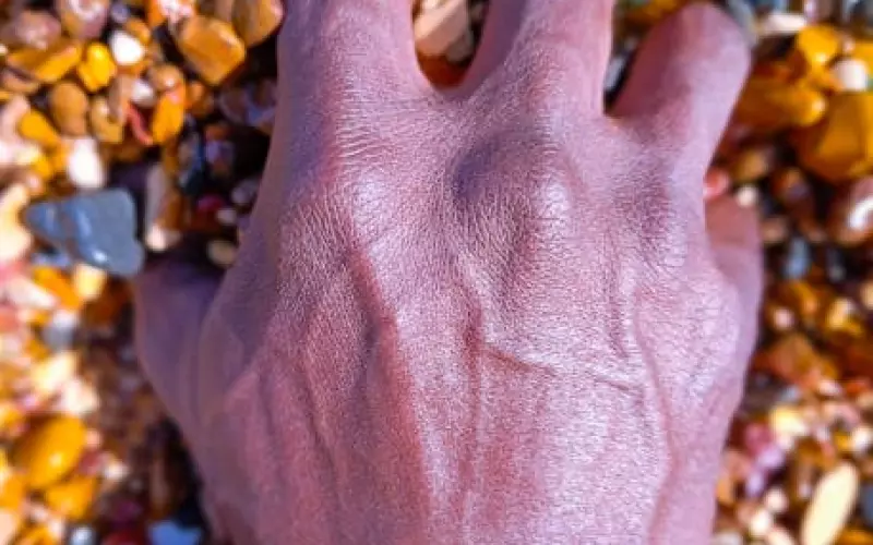 泰国佛教圣物之-法镯/手镯