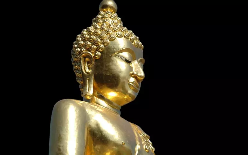 泰国佛教圣物之—图鉴版佛牌