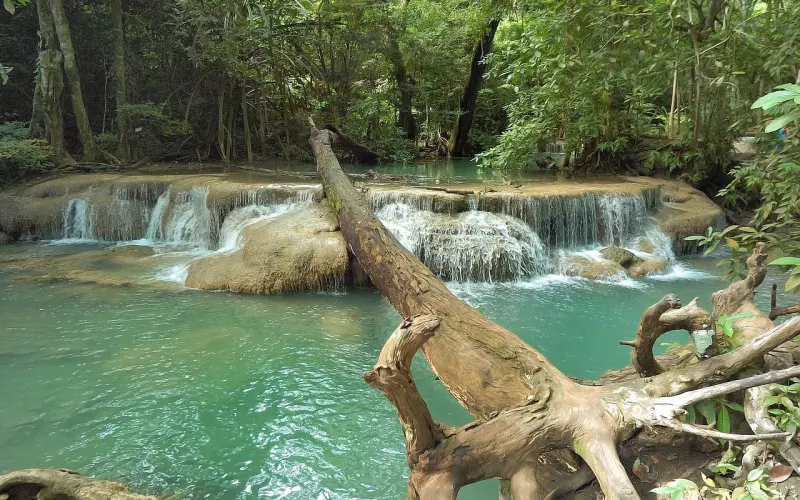 泰国供奉佛像 爱侣湾四面神 高31厘米