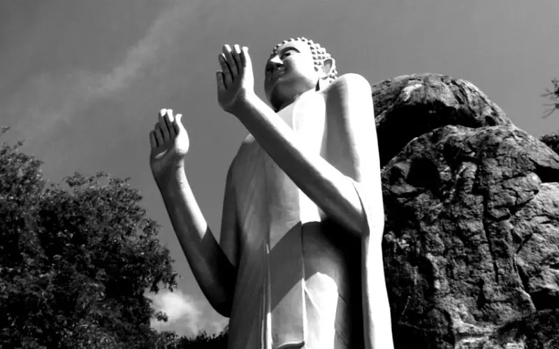 泰国佛牌圣物之-虎抱财