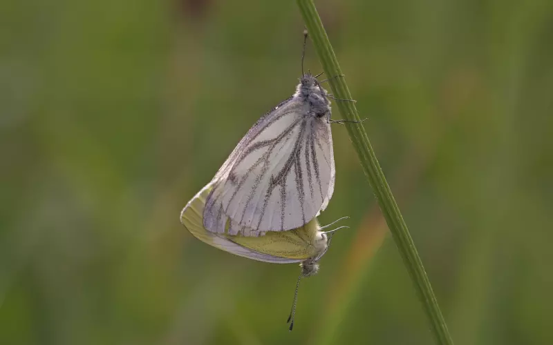分手后最忌讳对前任说的10句话，你中了几个？丨挽回技巧