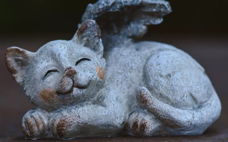 106岁老奶奶活得潇洒，说：“劝过我戒烟酒的3位医生都去世了”