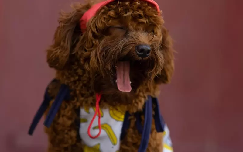 2019最经典20句说说，总有一句触动你心尖！