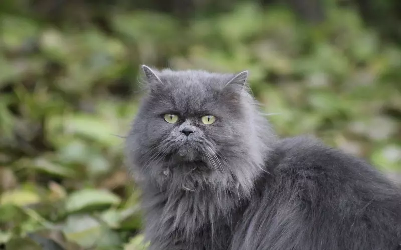 抖音最潮最精辟的20句话，噎得人无法反驳！