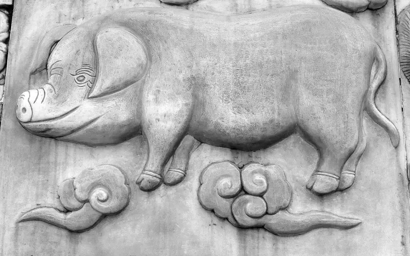 属猪的人2019年命理运势及适合佩戴的佛牌