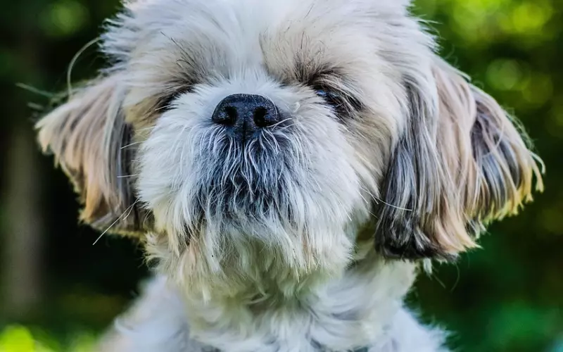 情侣之间，最舒服的4种“姿势”,你喜欢哪一个？