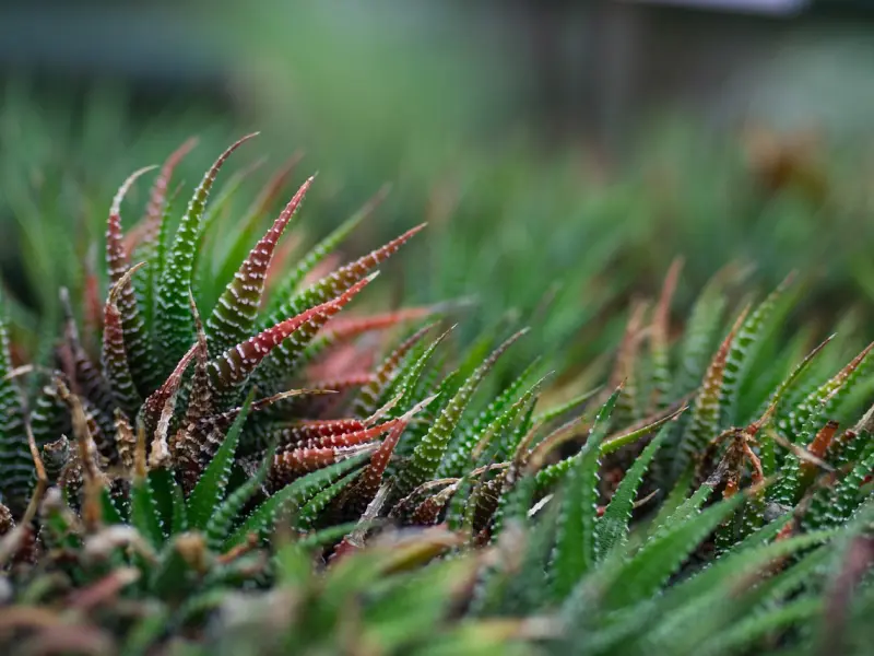 分手后男人的4个心理阶段，抓住就离复合不远了！