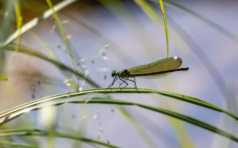怎么都撩不动的5大星座，处女座排最后