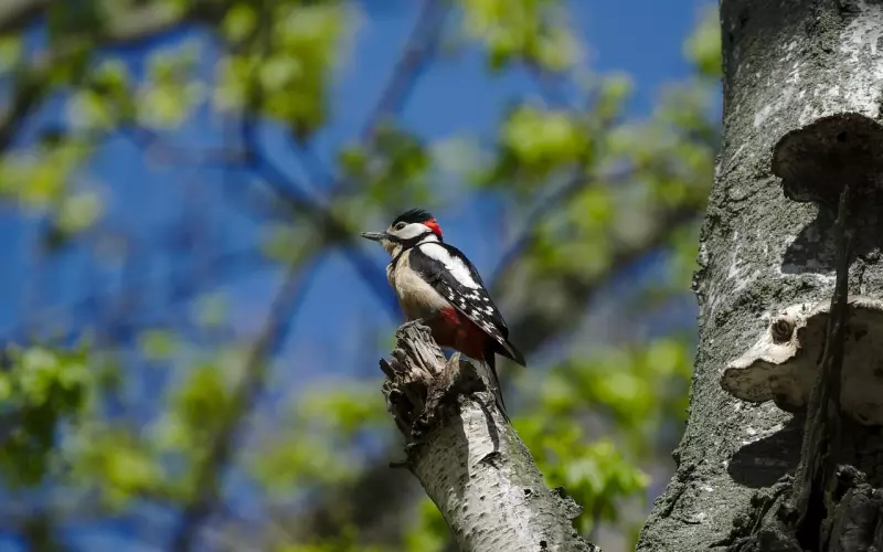 分手挽回最常见的6个问题
