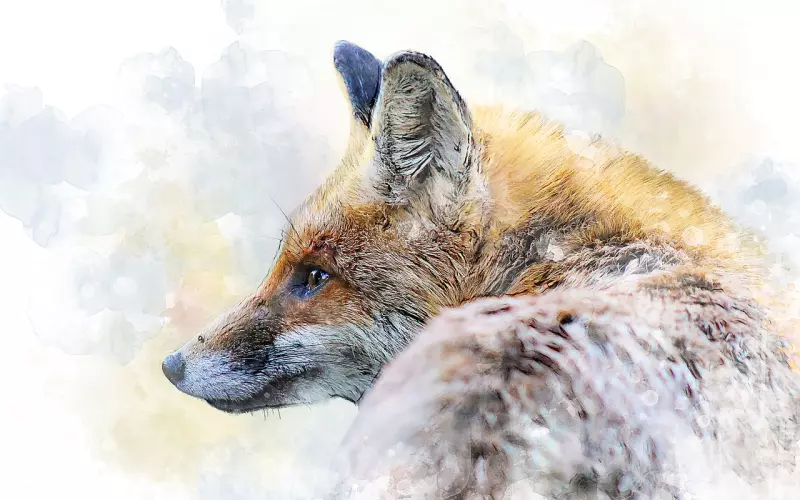 96岁网红爷爷从中国感动到世界，只因为画了一本妻子的故事！