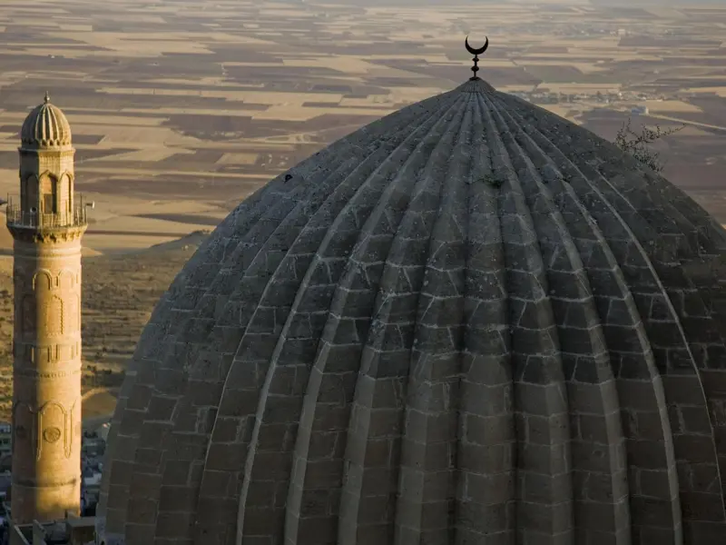 花镇联手中国首席情感教练赵永久老师开办的《爱的能力》婚恋心理训练营来了！！！