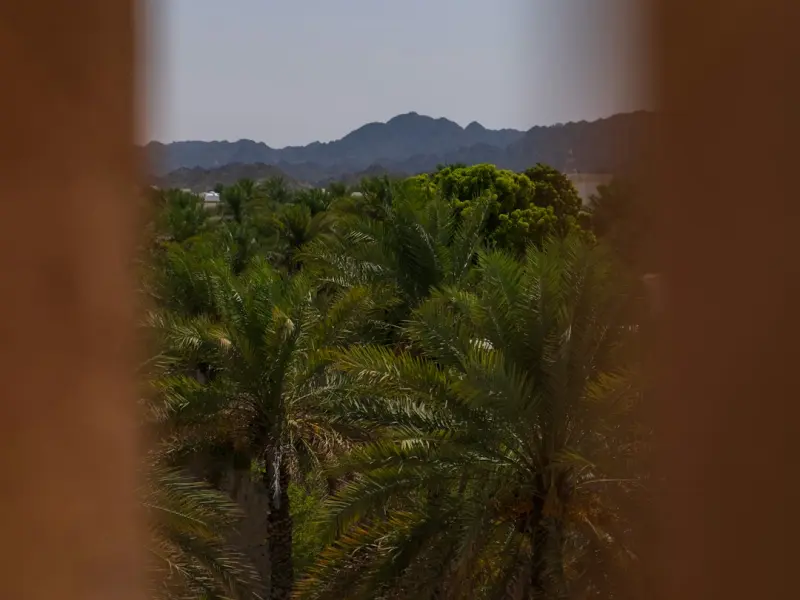 挽回你的爱情之不能触碰的绝对雷区