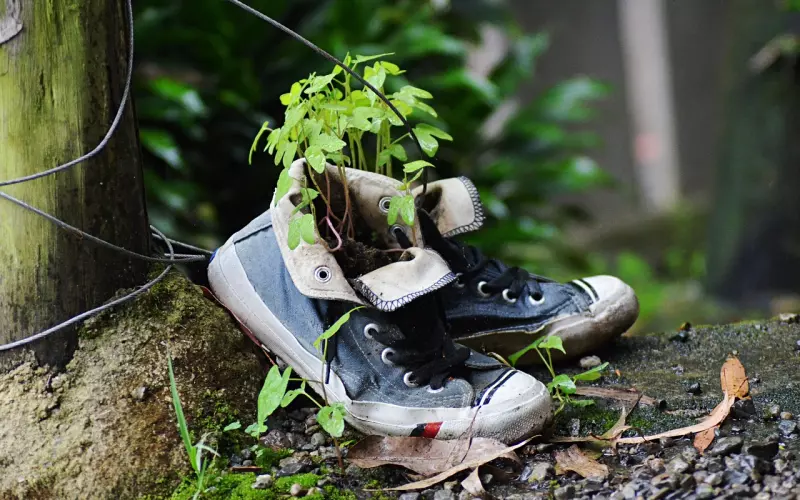 文章马伊琍离婚内幕，被曝与姚笛死灰复燃：破镜到底难重圆……