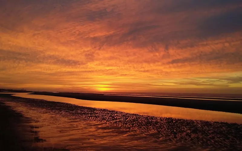 冷处理法挽回男友的好处