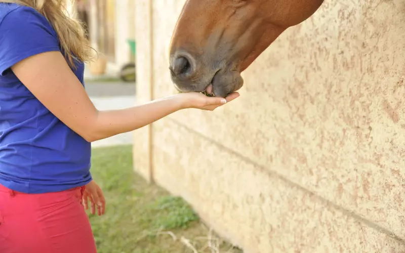 挽回老婆的最佳沟通方式，让爱重新燃起