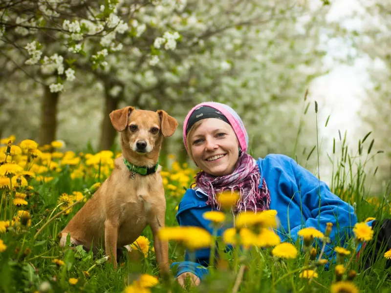 《乘风破浪的姐姐》史上最牛投资团队：让男人把“追女人”当作一生的事业
