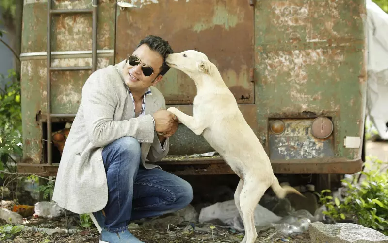 人间最好的爱，莫过于懂得