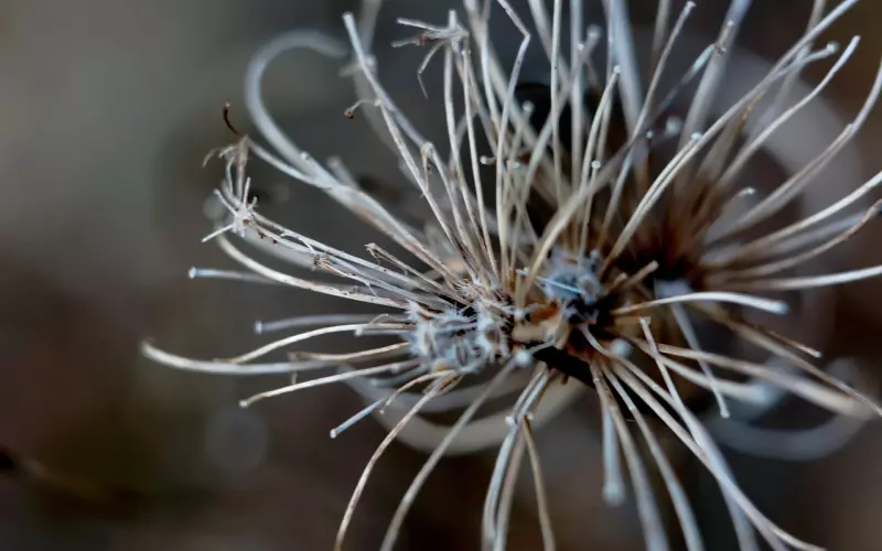 最好的爱情，深情而不纠缠