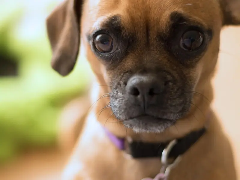 最好的感情是不将就