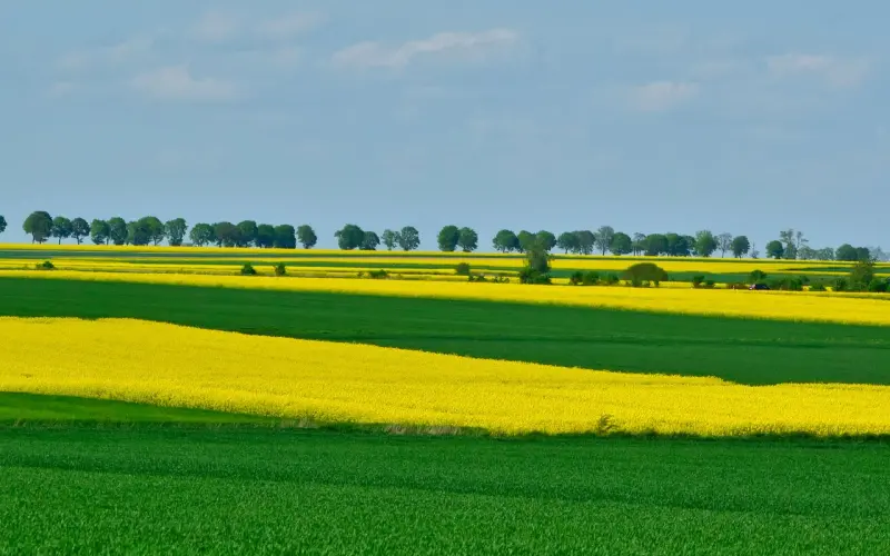 最好的感情，人远心不远。