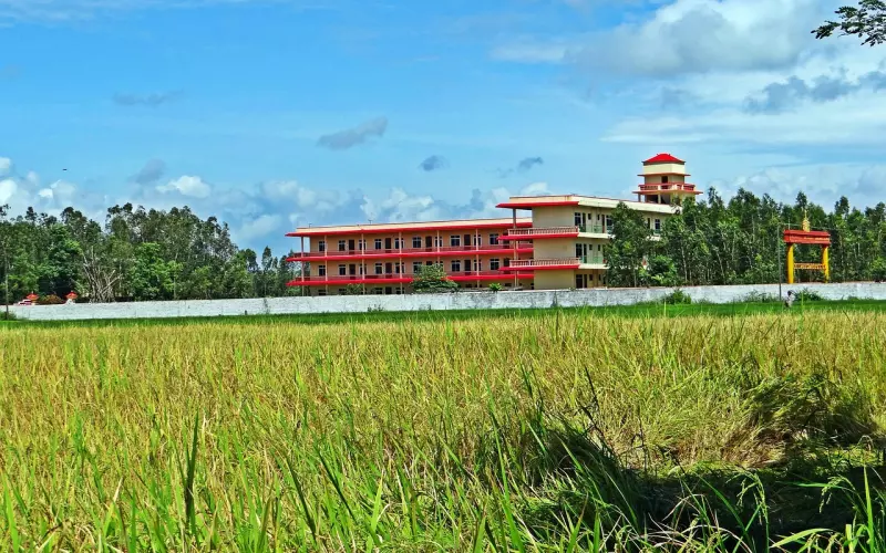 婚外情最好的解决办法