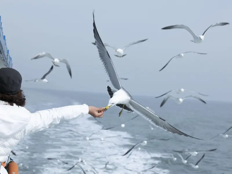 抓紧男人心最好的方式，从来都不是卑微讨好，而是狠心拒绝