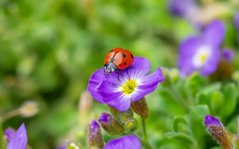 最好的活法，就两句话。（不看后悔）