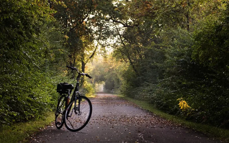 后半生最好的生活方式，说得太对了！（收藏这10句话）