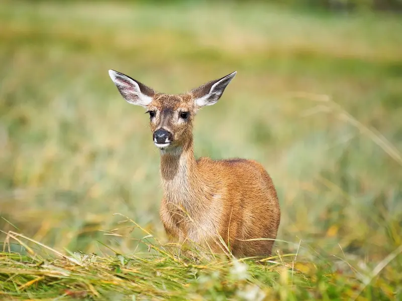 让男人爱不释手的最好方式：不是巴结讨好，而是掐准他的要害