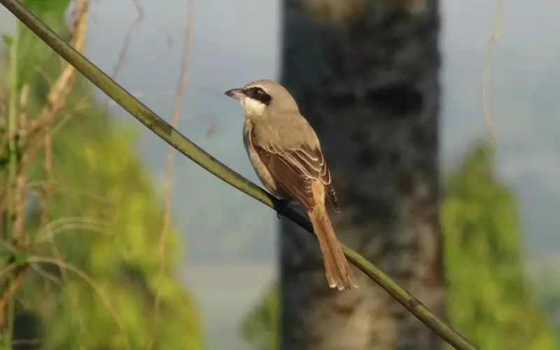 老婆出轨最好的挽回方法，让爱重新燃起的秘诀
