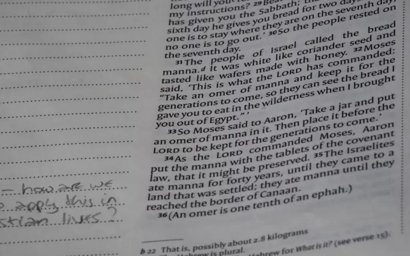 挽回父母婚姻最好的方法(父母反对婚姻怎么挽回)