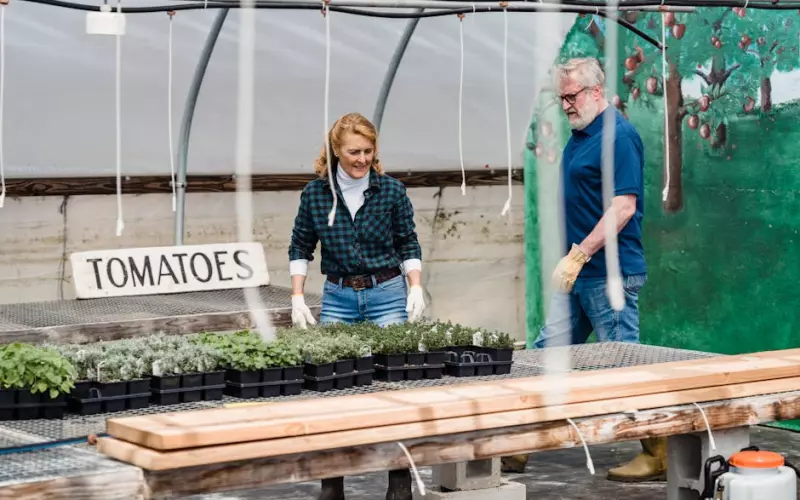 老公出轨挽回老婆的最好办法(老公出轨老婆想挽回要怎么办)