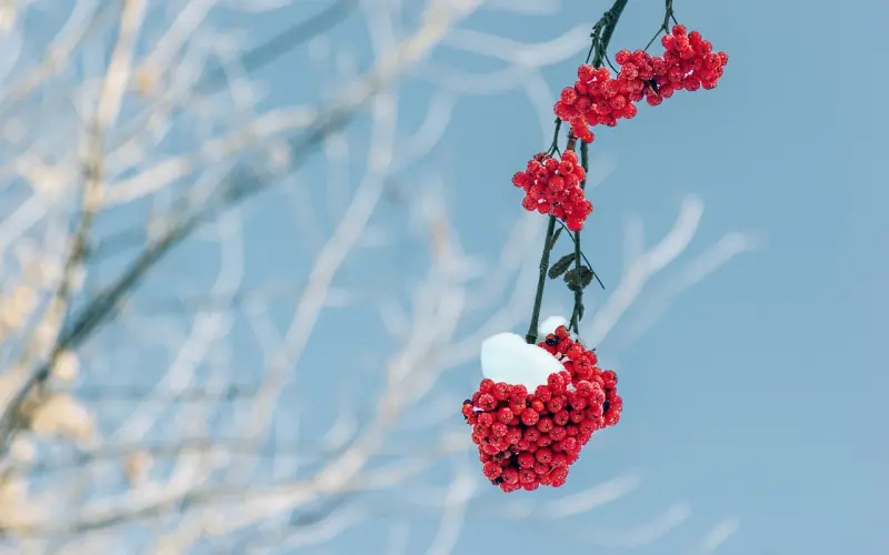 最怕是你既不够爱他，又不够爱自己。