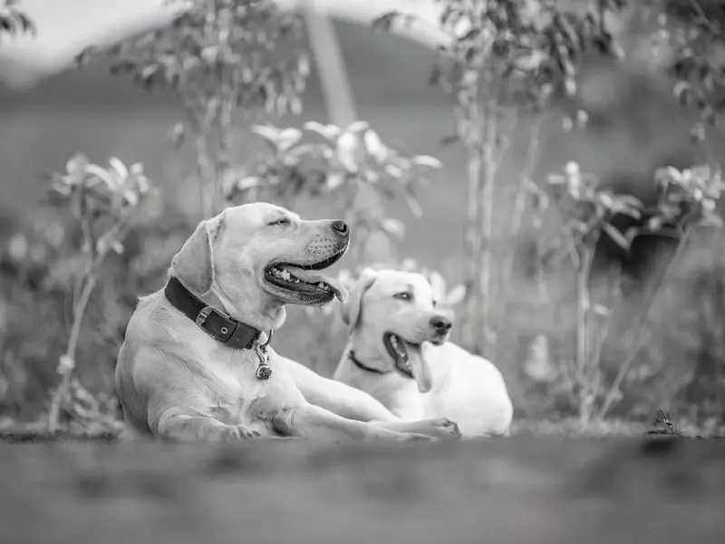 爱情破裂都是这个原因造成的，你中了吗