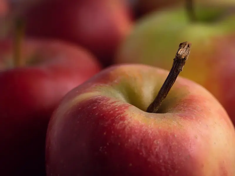 恋爱的冷静，不是为了自己