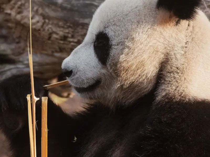 让全球男性陷入疯狂的聊天  看完对人生都顿悟了！