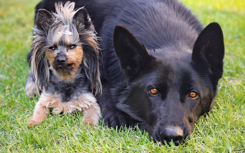 朋友圈明明已经建设得很好，为什么前任还是无动于衷？