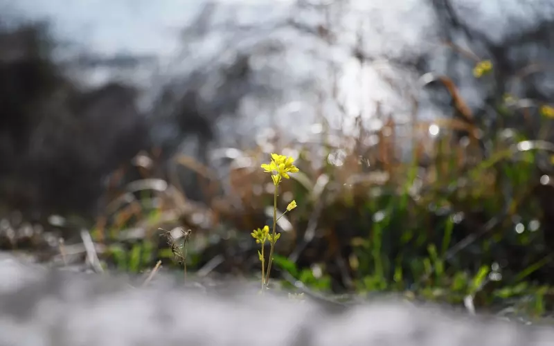 挽回老婆全宝典：和老婆打架了，还能挽回吗？