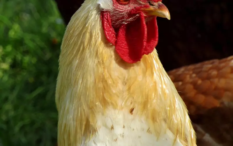 挽回金牛男全攻略之学会技巧，让他对你死心踏地