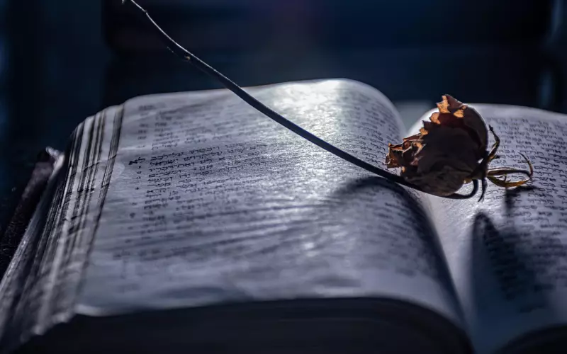 挽回男友全攻略之如何挽回有新欢的男友