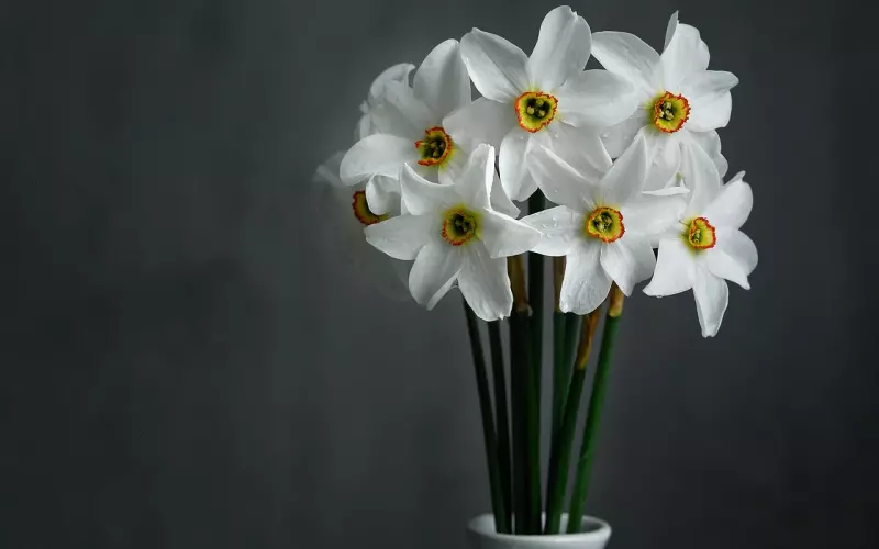 挽回男友的核心：足够的吸引力