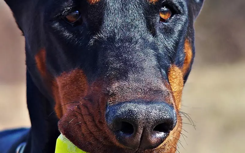 挽回男友的正确姿态 用亲密动作挽回他的心