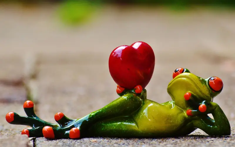 爱一个男人的正确“姿势”