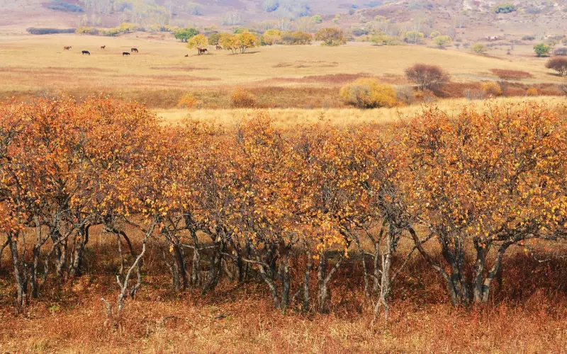 挽回冷冻期正确方法(冷冻感情挽回的最好方法)