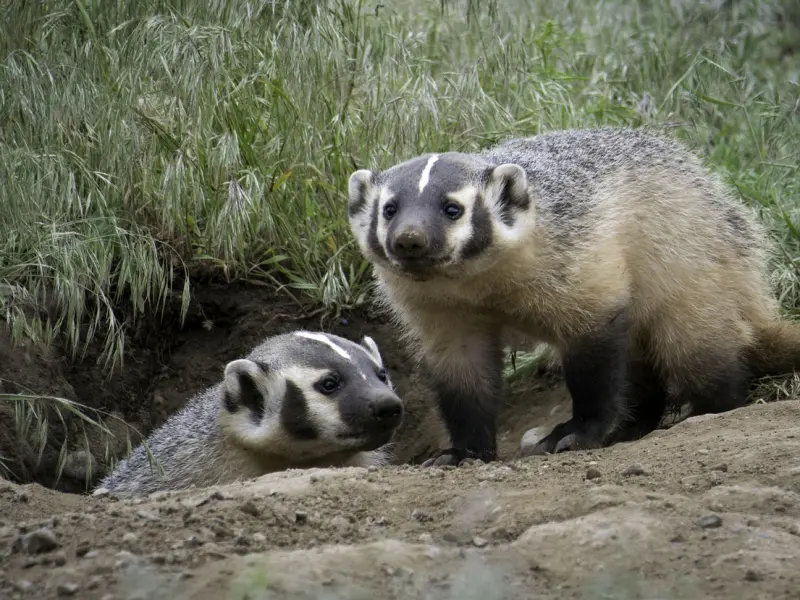 正确挽回男友的方法