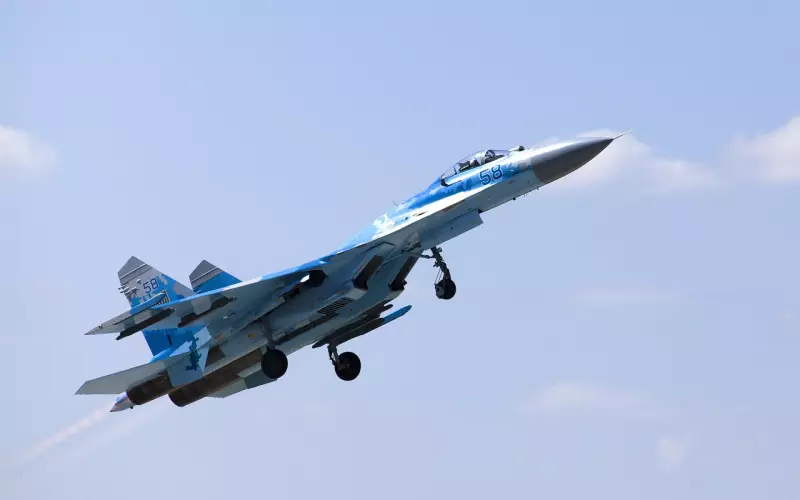 外卖大叔学英语，网恋乌克兰美女，坐飞机跨国见面，两人终成眷属