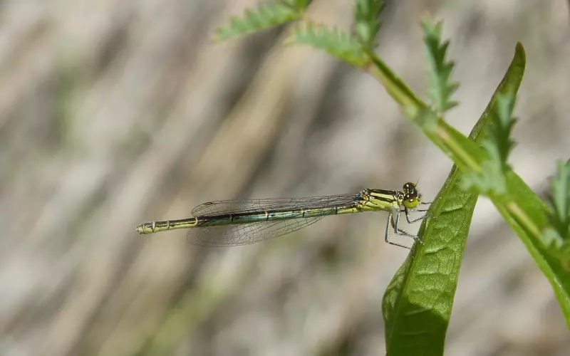 能让男人天天惦记的“”菜，往往都有这3个特质！